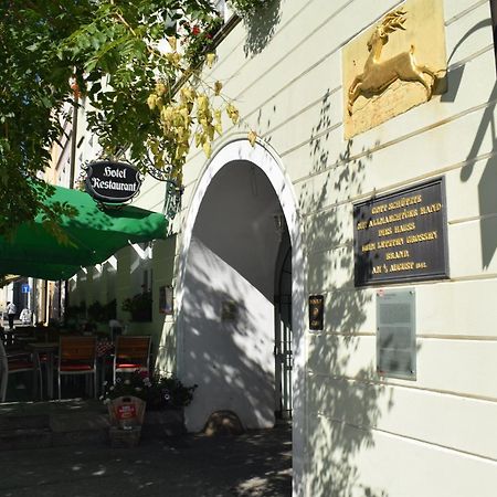 Akzent Hotel Goldner Hirsch Kamenz Esterno foto